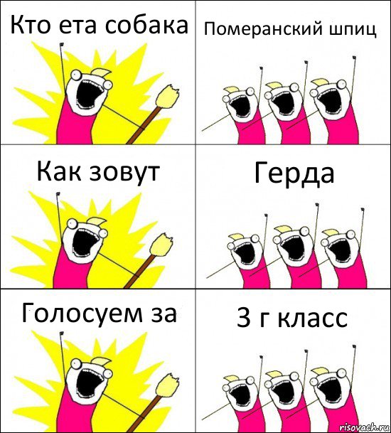 Кто ета собака Померанский шпиц Как зовут Герда Голосуем за 3 г класс, Комикс кто мы