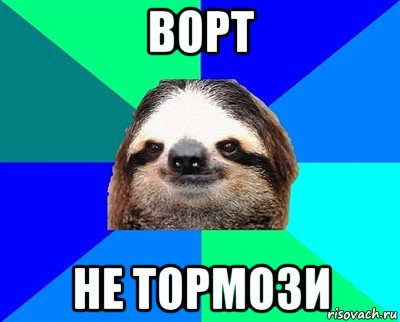 ворт не тормози, Мем Ленивец