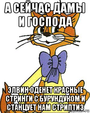 а сейчас дамы и господа элвин оденет красные стринги с бурундуком и станцует нам стриптиз, Мем Кот Леопольд