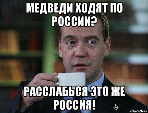 медведи ходят по россии? расслабься это же россия!, Мем Медведев спок бро