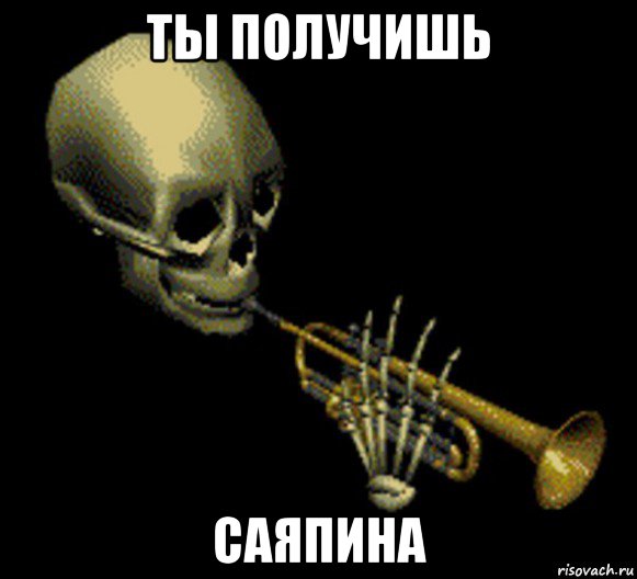 ты получишь саяпина, Мем Мистер дудец