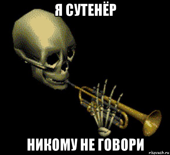 я сутенёр никому не говори