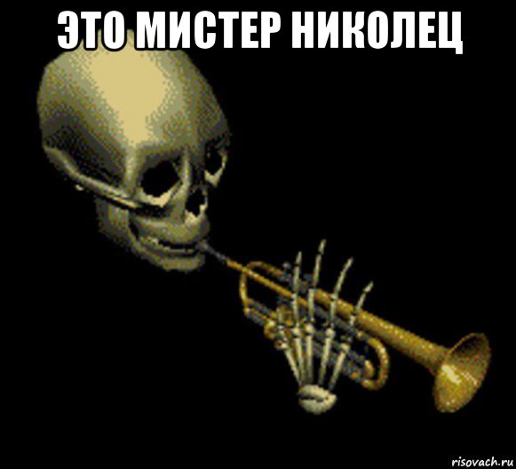 это мистер николец 