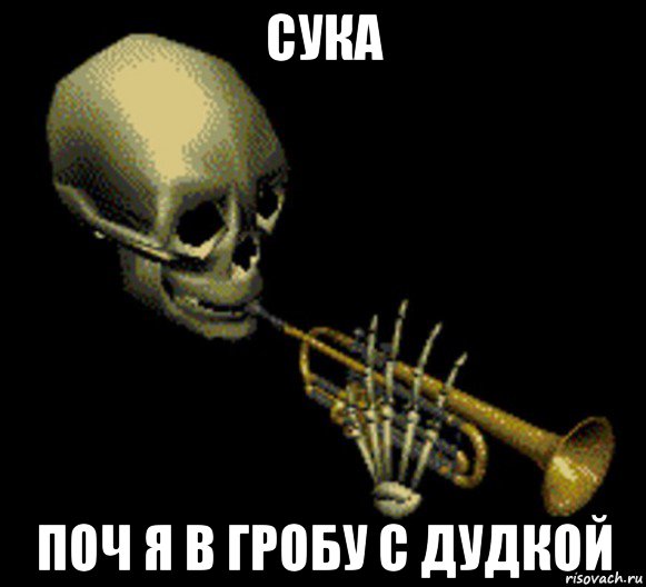 сука поч я в гробу с дудкой, Мем Мистер дудец