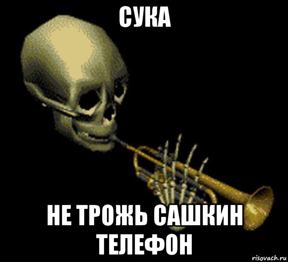 сука не трожь сашкин телефон, Мем Мистер дудец