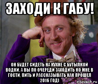 заходи к габу! он будет сидеть на кухне с бутылкой водки, а вы по очереди заходить ко мне в гости, пить и рассказывать как прошел 2016 год), Мем мое лицо