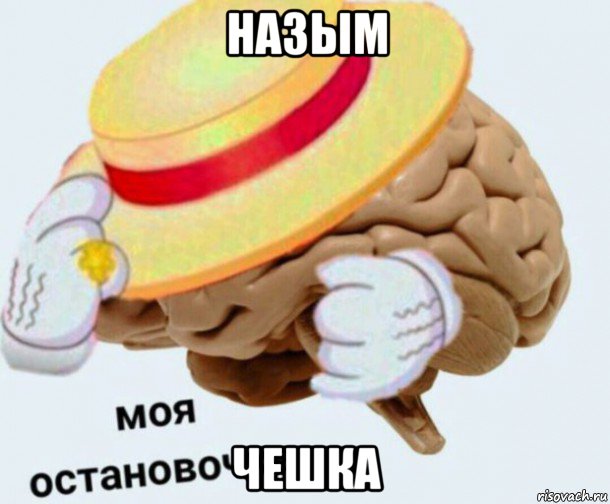 назым чешка, Мем   Моя остановочка мозг