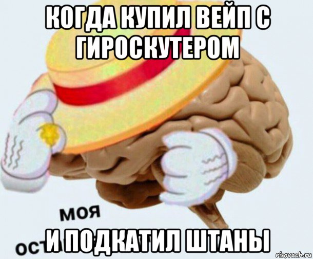 когда купил вейп с гироскутером и подкатил штаны, Мем   Моя остановочка мозг