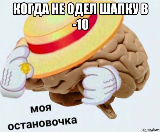 когда не одел шапку в -10 , Мем   Моя остановочка мозг