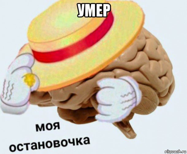 умер , Мем   Моя остановочка мозг