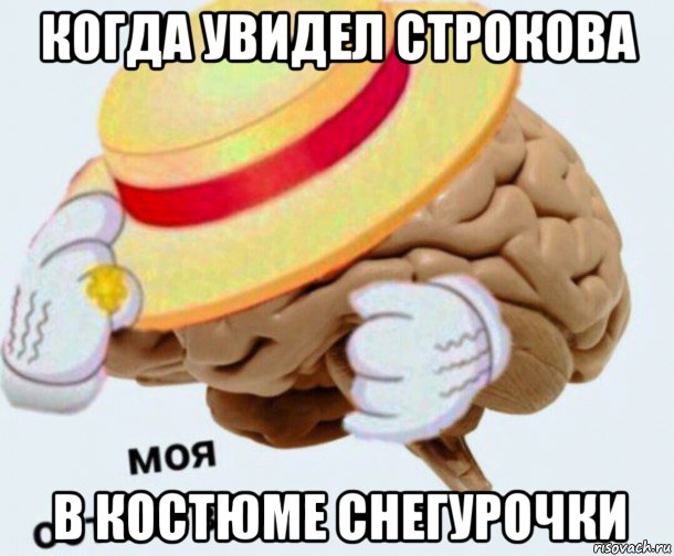 когда увидел строкова в костюме снегурочки, Мем   Моя остановочка мозг