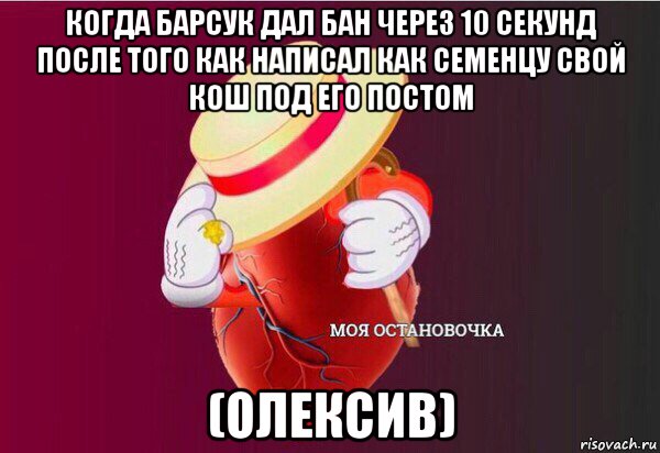 когда барсук дал бан через 10 секунд после того как написал как семенцу свой кош под его постом (олексив), Мем Моя Остановочка