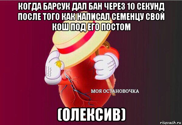 когда барсук дал бан через 10 секунд после того как написал семенцу свой кош под его постом (олексив), Мем Моя Остановочка