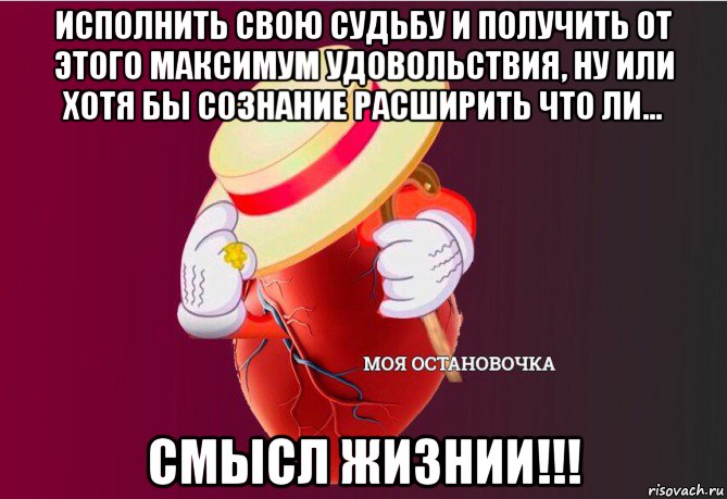 исполнить свою судьбу и получить от этого максимум удовольствия, ну или хотя бы сознание расширить что ли... смысл жизнии!!!, Мем   Моя остановочка