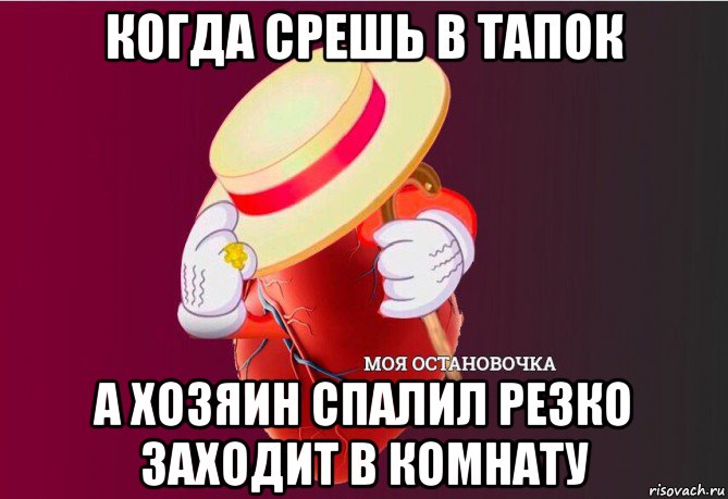 когда срешь в тапок а хозяин спалил резко заходит в комнату