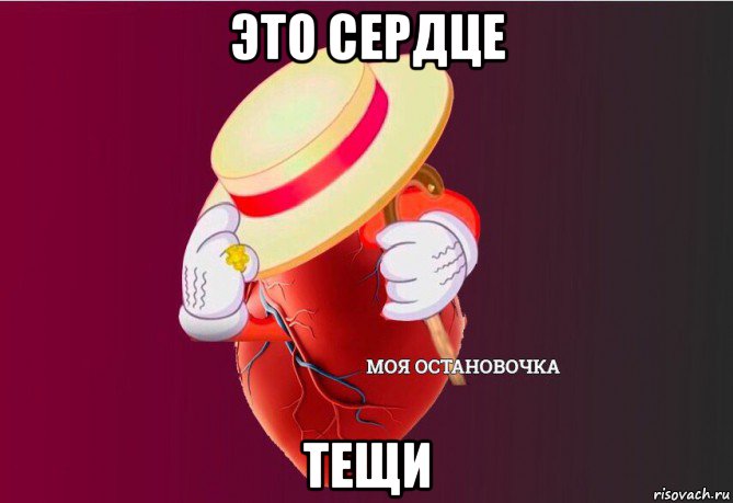 это сердце тещи