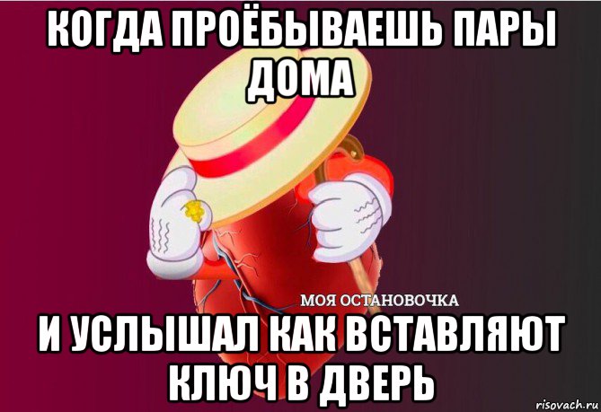 когда проёбываешь пары дома и услышал как вставляют ключ в дверь, Мем   Моя остановочка