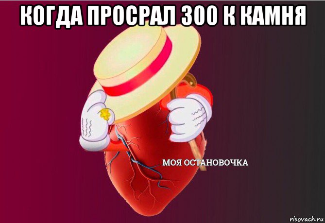 когда просрал 300 к камня , Мем   Моя остановочка