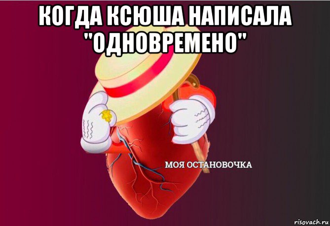 когда ксюша написала "одновремено" , Мем   Моя остановочка