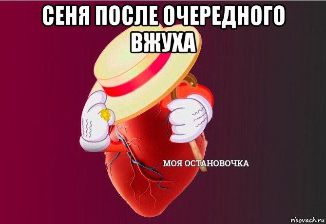 сеня после очередного вжуха , Мем   Моя остановочка