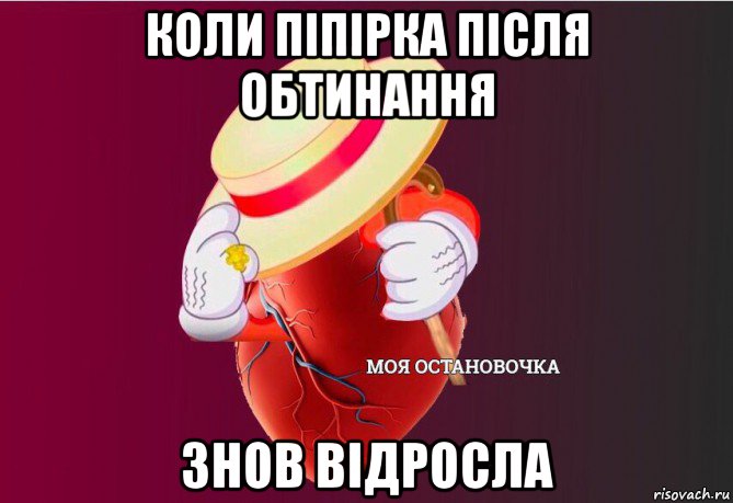 коли піпірка після обтинання знов відросла, Мем   Моя остановочка