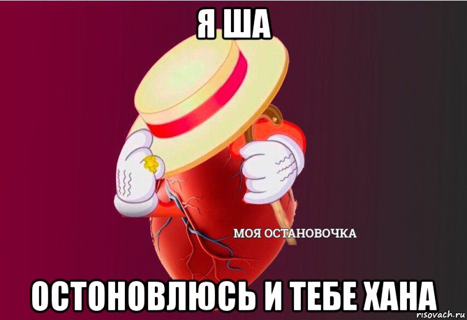 я ша остоновлюсь и тебе хана, Мем   Моя остановочка