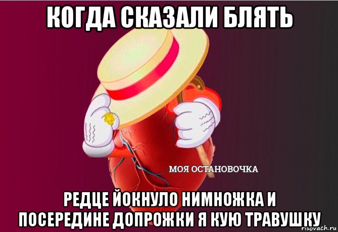 когда сказали блять редце йокнуло нимножка и посередине допрожки я кую травушку, Мем   Моя остановочка