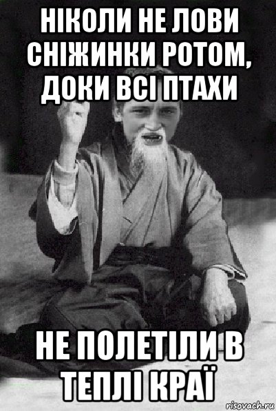 ніколи не лови сніжинки ротом, доки всі птахи не полетіли в теплі краї, Мем Мудрий паца