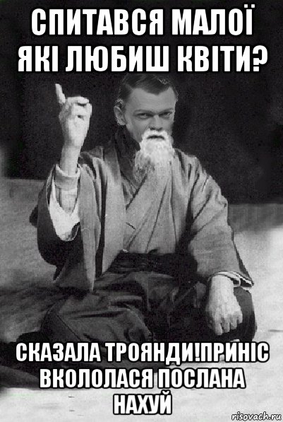 спитався малої які любиш квіти? сказала троянди!приніс вкололася послана нахуй, Мем Мудрий Виталька