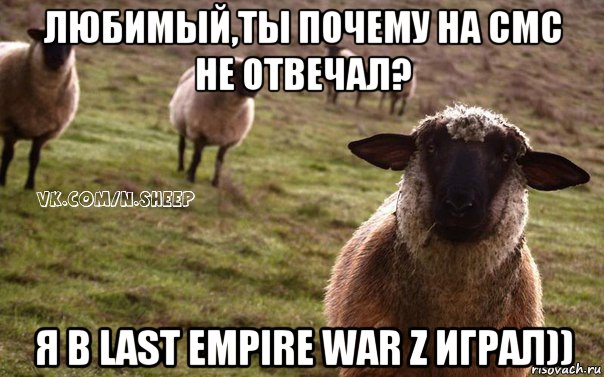 любимый,ты почему на смс не отвечал? я в last empire war z играл)), Мем  Наивная Овца