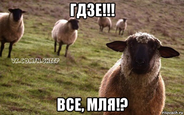 гдзе!!! все, мля!?