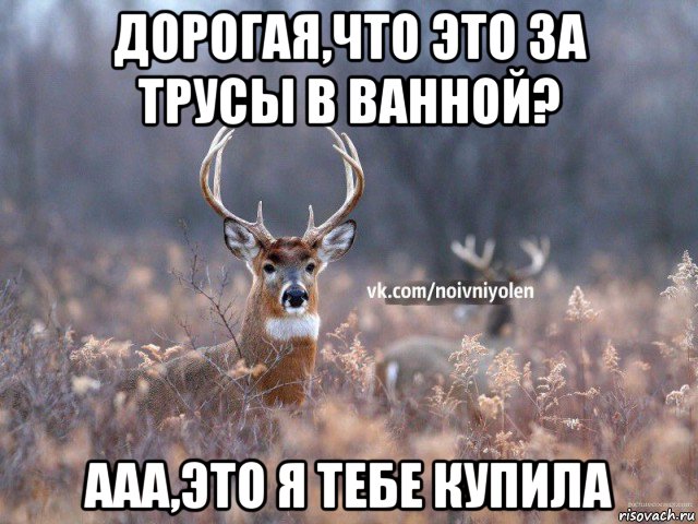 дорогая,что это за трусы в ванной? ааа,это я тебе купила