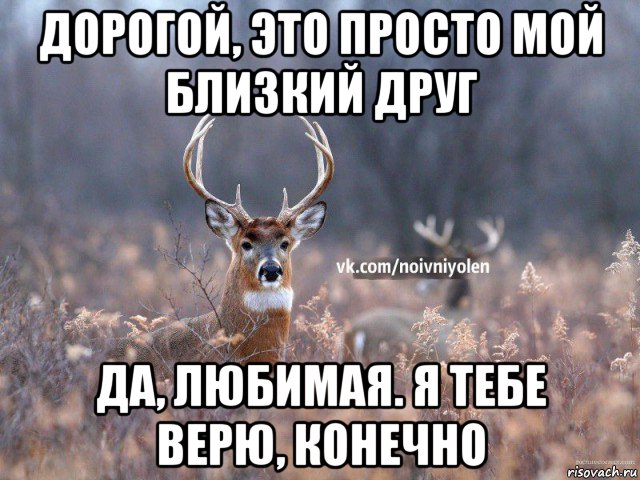 дорогой, это просто мой близкий друг да, любимая. я тебе верю, конечно