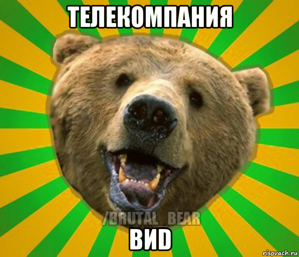 телекомпания виd, Мем Нелепый медведь