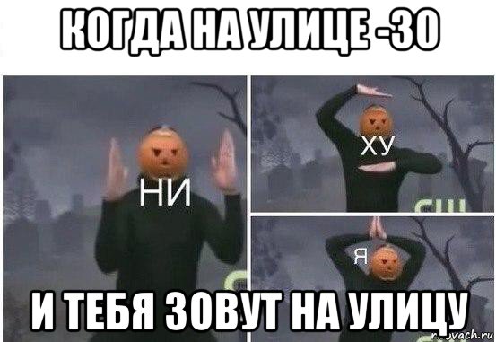 когда на улице -30 и тебя зовут на улицу, Мем  Ни ху Я