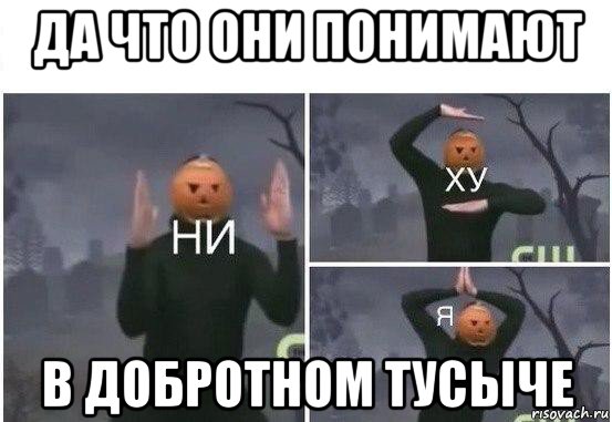 да что они понимают в добротном тусыче, Мем  Ни ху Я