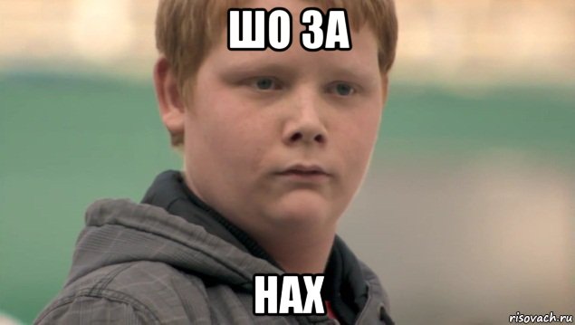 шо за нах, Мем    нифигасе