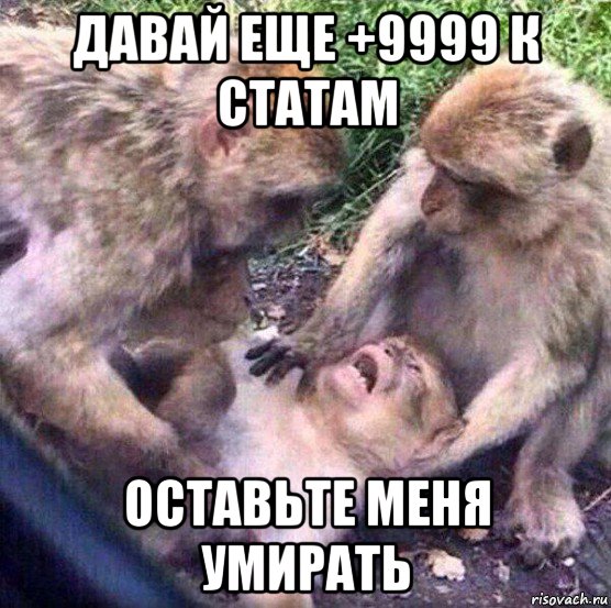 давай еще +9999 к статам оставьте меня умирать, Мем Обезьяны