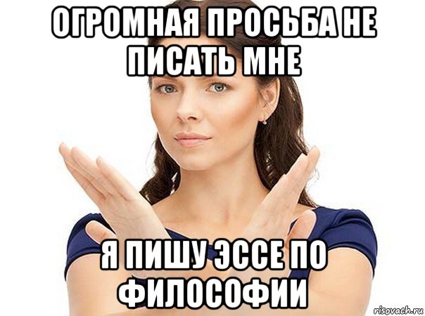 огромная просьба не писать мне я пишу эссе по философии, Мем Огромная просьба