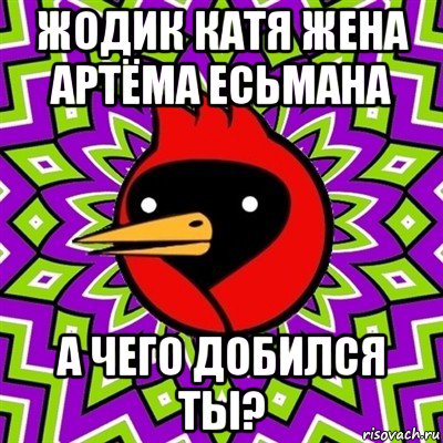 жодик катя жена артёма есьмана а чего добился ты?, Мем Омская птица