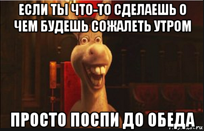 если ты что-то сделаешь о чем будешь сожалеть утром просто поспи до обеда, Мем Осел из Шрека