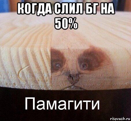 когда слил бг на 50% , Мем   Памагити