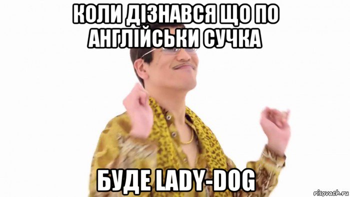 коли дізнався що по англійськи сучка буде lady-dog, Мем    PenApple