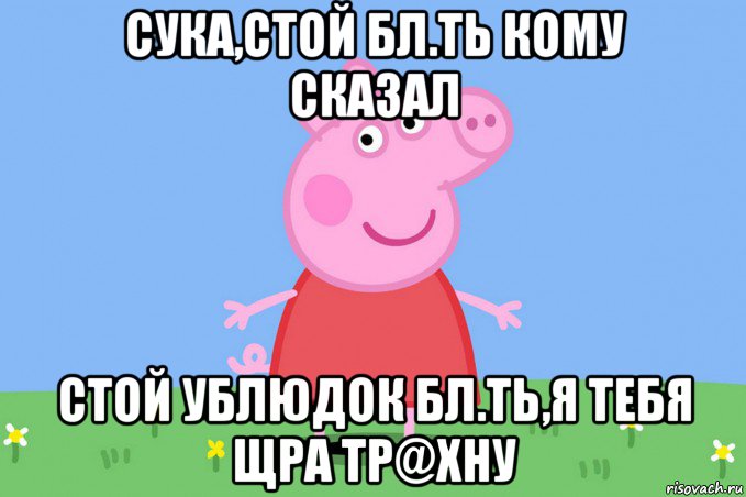 сука,стой бл.ть кому сказал стой ублюдок бл.ть,я тебя щра тр@хну, Мем Пеппа