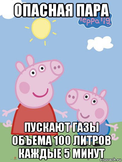 опасная пара пускают газы объема 100 литров каждые 5 минут