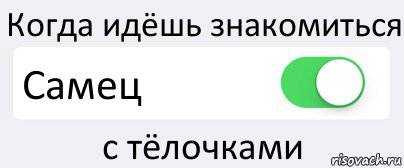 Когда идёшь знакомиться Самец с тёлочками, Комикс Переключатель