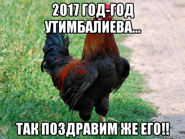 2017 год-год утимбалиева... так поздравим же его!!, Мем петух