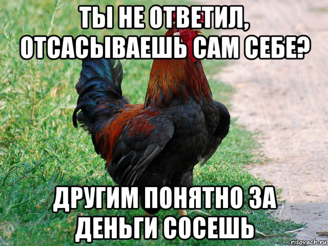 ты не ответил, отсасываешь сам себе? другим понятно за деньги сосешь, Мем петух