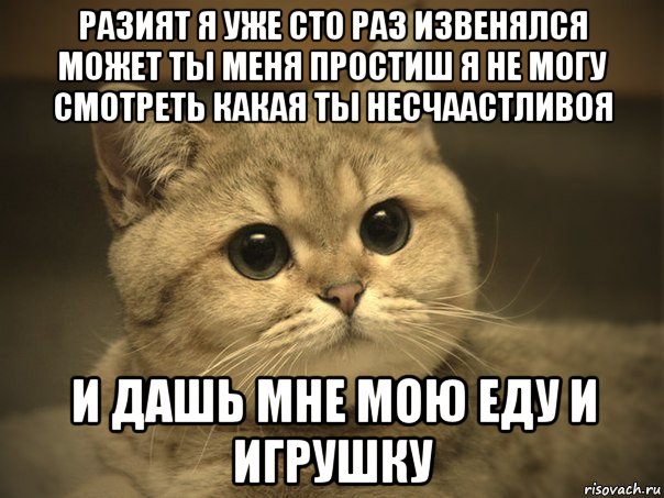 разият я уже сто раз извенялся может ты меня простиш я не могу смотреть какая ты несчаастливоя и дашь мне мою еду и игрушку, Мем Пидрила ебаная котик