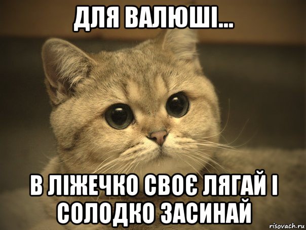 для валюші... в ліжечко своє лягай і солодко засинай, Мем Пидрила ебаная котик